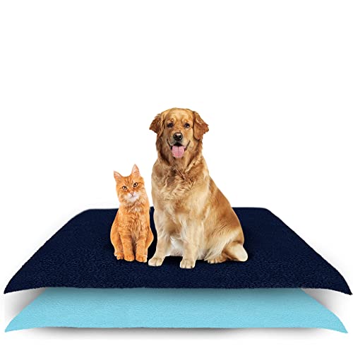 Amorite® Waterproof Reusable Washable Pee Pads for Dogs (Medium Combo, Dark Blue + Sea Blue) - Image 1