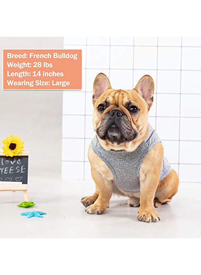 NIBEMINENT Kyeese Dog Shirts Grey L - Image 5