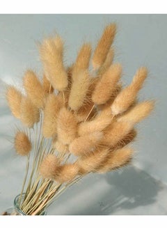 Generic Dried Rabbit Tail Grass,  60 Pcs Natural Dry Grass Dried Flowers Bouquet, Wedding Dry Flower Bunch, for Home Garden Party Decor, Flower Arrangement  - Image 1