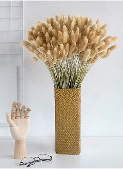Generic Dried Rabbit Tail Grass,  60 Pcs Natural Dry Grass Dried Flowers Bouquet, Wedding Dry Flower Bunch, for Home Garden Party Decor, Flower Arrangement  - Image 2