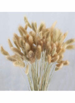 Generic Dried Rabbit Tail Grass,  60 Pcs Natural Dry Grass Dried Flowers Bouquet, Wedding Dry Flower Bunch, for Home Garden Party Decor, Flower Arrangement  - Image 5