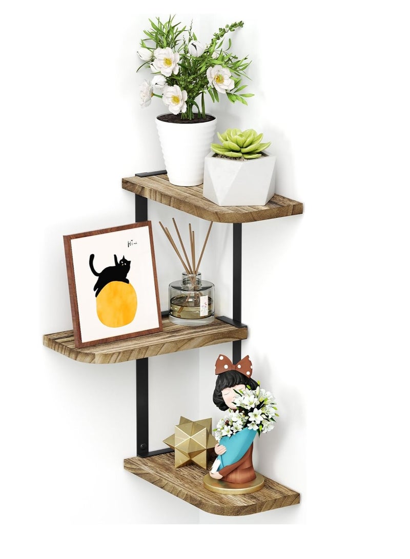 XiuWoo 3 Tier Adjustable Corner Shelf, Wooden Floating Shelves, Wall Moun Metal Home Display Shelves, Home Storgae Rack, Plant Rack for Home, Office - Image 1