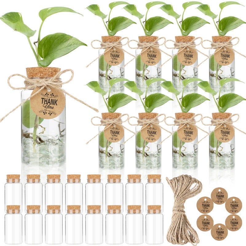Ysglory 24 Pack 3.54'' Plant Propagation Stations 4oz Plastic Propagation Jars Planter Hydroponic Vase with Hole Lid and Thank You Tags for Plant Lovers Office Home Garden - Image 1