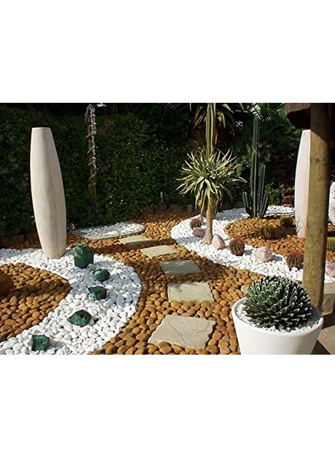 Leafy Tales Matt White Stones Big (Unpolished) for Home & Garden Decoration|Plants & Pots|Art & Craft|Aquarium Vase Filler | Matt White Stones 1 kg - Image 4