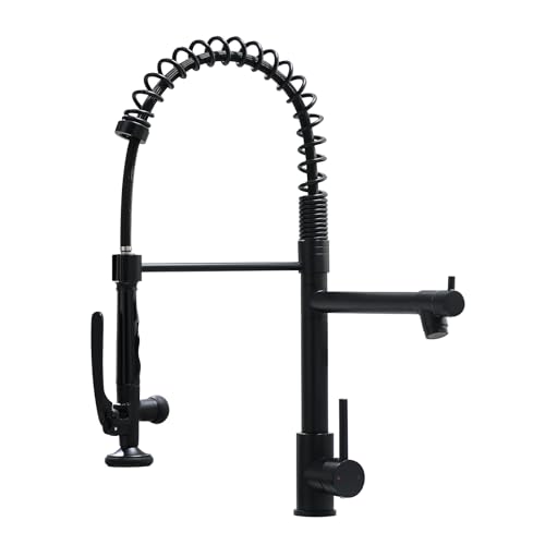 Fapully Black Kitchen Faucet,Commercial Pull Down Kitchen Sink Faucet with Sprayer - Image 1