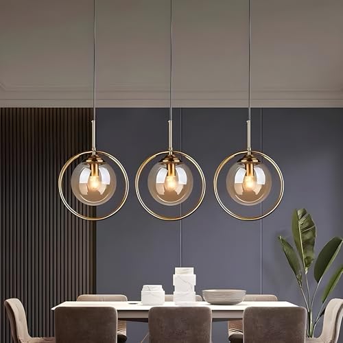 RBSK Golden Metal & Smoke Glass Hanging Ring Light for Living Room, Bedroom, Home Decoration, Pendant Lamp (E27 Bulb Holder) (Without Bulb, 2, Pack) - Image 4