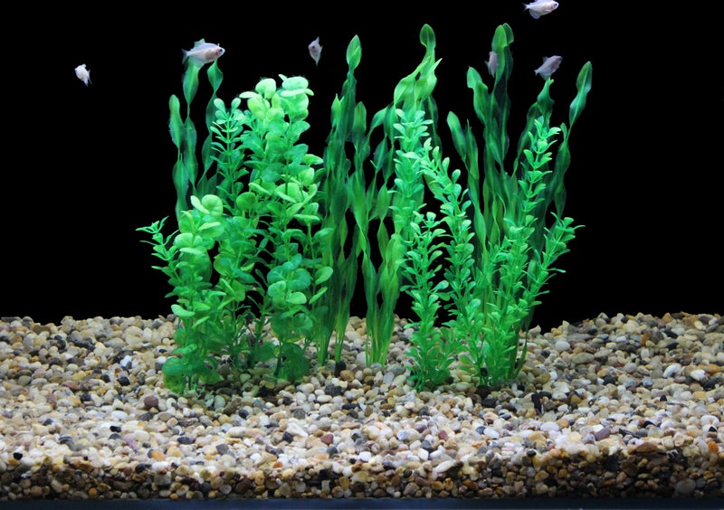 AQUANEAT Artificial Fish Tank Plants, Green Plastic Aquarium Accessories, Multi Shape Fake Decorations, 10packs - Image 3