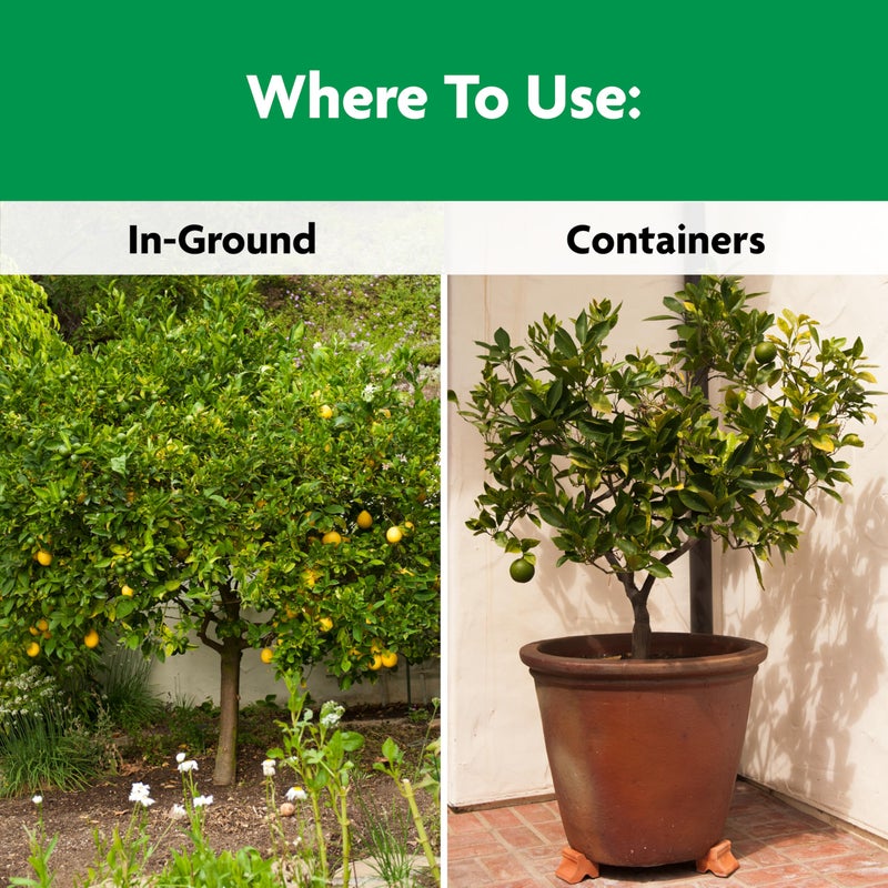 Miracle-Gro Shake 'N Feed Continuous Release Citrus, Avocado & Mango Plant Food, 4.5 lb. - Image 5