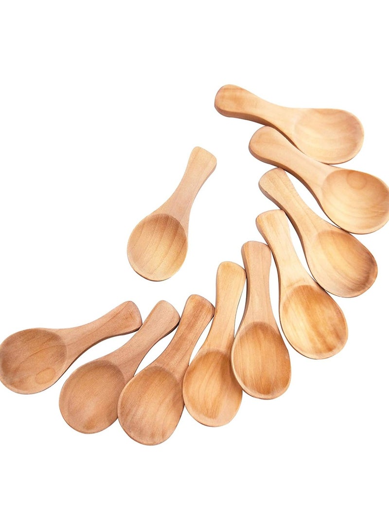 أوزيغالور 10 قطع ملاعق ملح خشبية صغيرة مصنوعة يدويًا ملاعق ملح خشبية صغيرة توابل سكر صغيرة توابل توابل أطفال من الخشب الصلب ملعقة صغيرة عسل شاي شاي قهوة شاي مربى خردل آيس كريم حليب آيس كريم (لون حقيقي) - Image 1