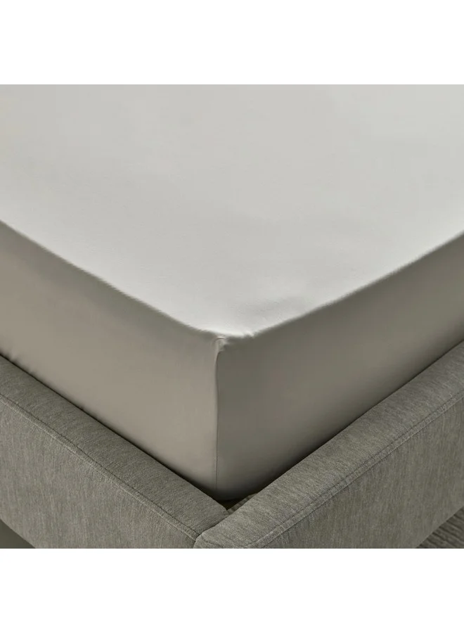 هوم بوكس شرشف سرير مفرد Purely-percale 300TC 200 × 36 × 90 سم