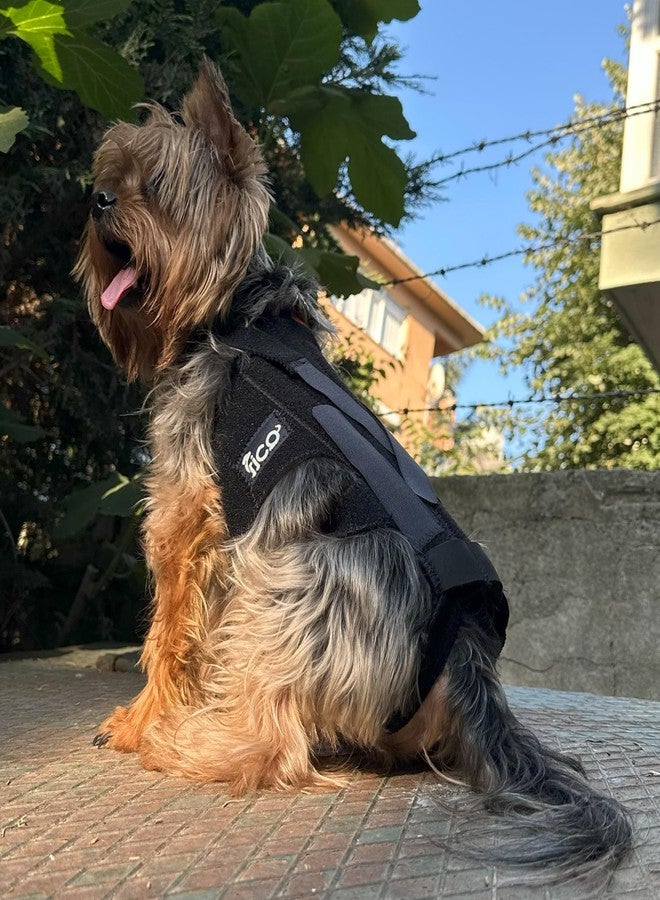 Fico Dog Back Brace - Adjustable Spine Support for IVDD, Arthritis & Post-Surgery Recovery - Lightweight, Durable & Vet Approved - 5 Sizes (XS-XL) (Medium) - Image 5
