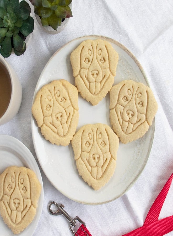 Bakerlogy قطاعة بسكويت على شكل وجه كلب جبل بيرنيز، قطعة واحدة - بيكرلوجي - Image 5