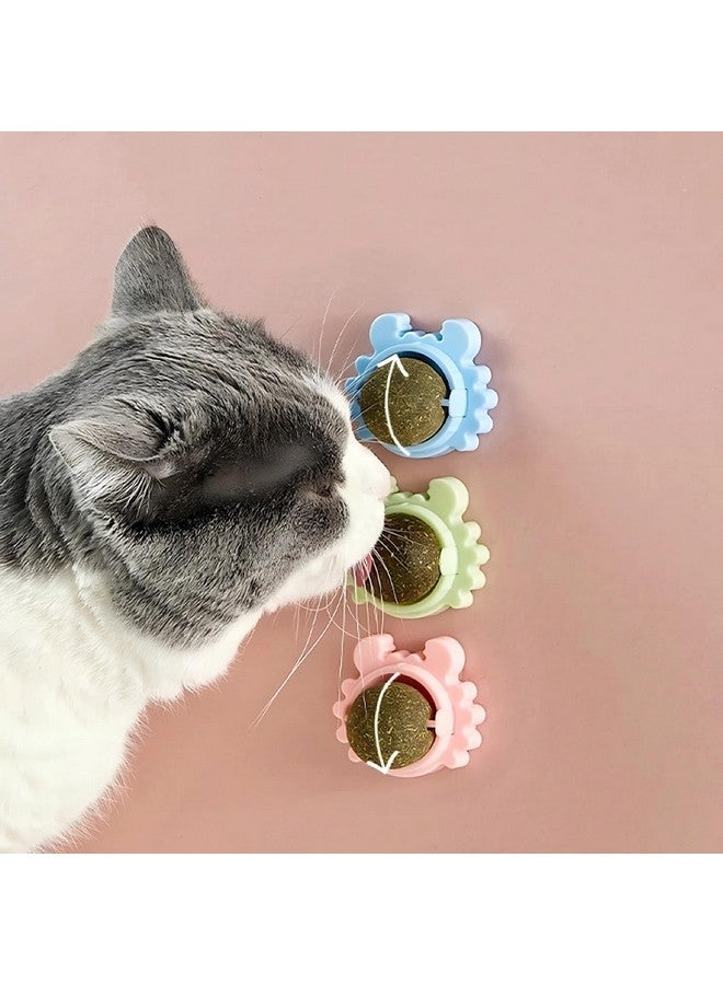 Sunkizzrs® Catnip Toy (1 Pcs) Catnip Balls Catnip Wall Toys for Cats Rotatable Edible Mint Natural Healthy Teeth Cleaning Chew Claw Toy for Cat/Kitten (Green) - Image 1