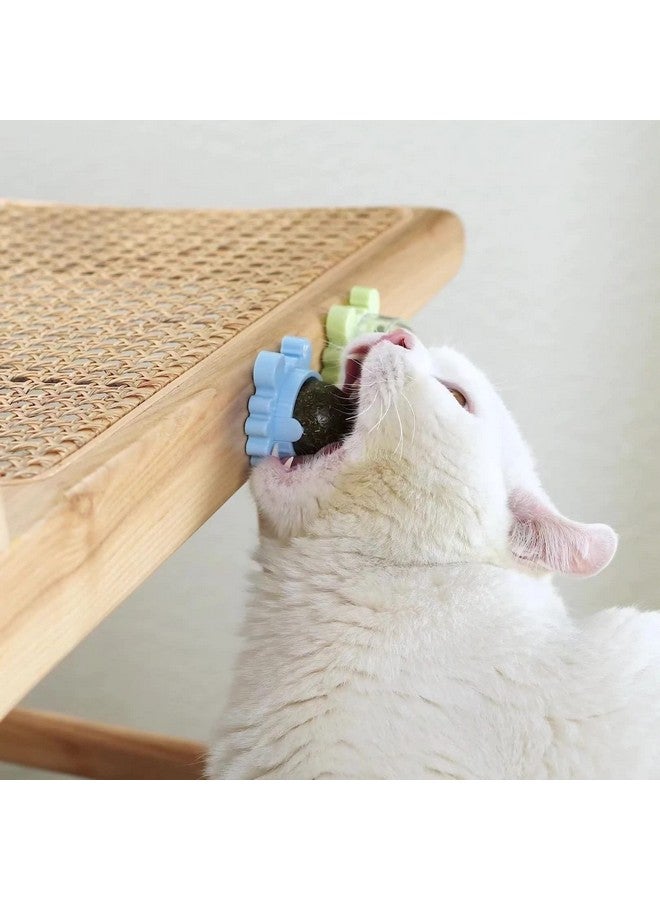 Sunkizzrs® Catnip Toy (1 Pcs) Catnip Balls Catnip Wall Toys for Cats Rotatable Edible Mint Natural Healthy Teeth Cleaning Chew Claw Toy for Cat/Kitten (Green) - Image 4