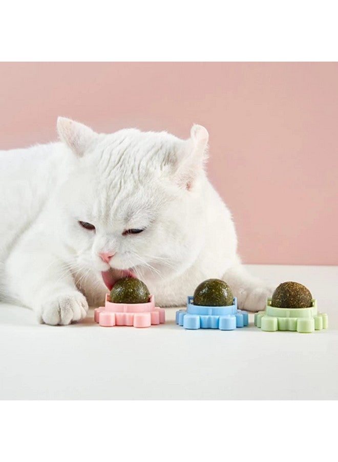 Sunkizzrs® Catnip Toy (1 Pcs) Catnip Balls Catnip Wall Toys for Cats Rotatable Edible Mint Natural Healthy Teeth Cleaning Chew Claw Toy for Cat/Kitten (Green) - Image 5