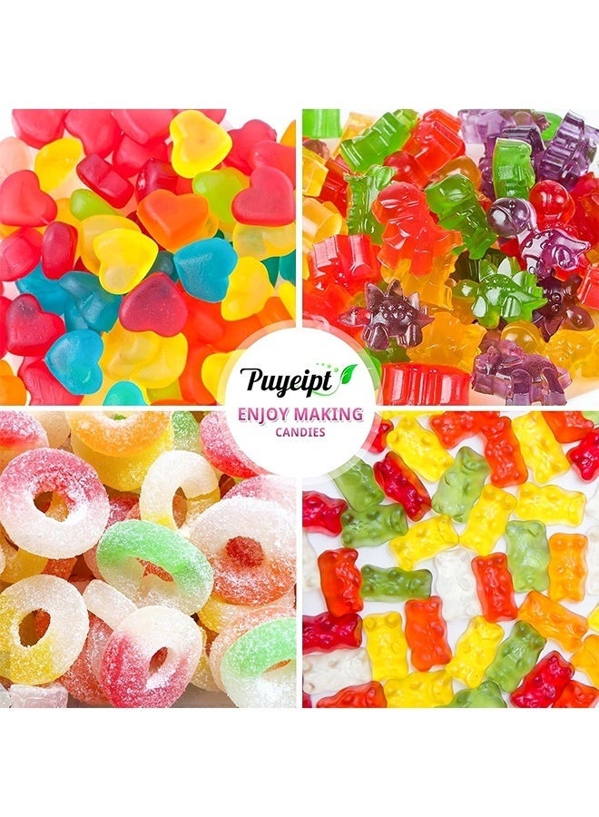 5 Pcs Silicone Gummy Molds with 2 Droppers, Heart, Bear, Dinosaur, Animal, Round Candy Molds, Non-Stick Silicone Moulds for Gummies, Chocolate, Jelly, Candy, Baby Food - Image 5