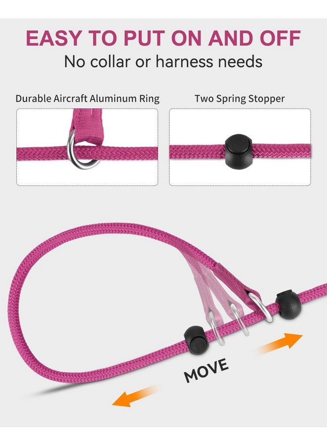 Joytale Joytale Tangle-Free Slip Leads for Dogs, 6 FT Slip Leash with Padded Double Handle, Reflective Nylon Training Leash for Small Medium Dogs 15-40 Lbs, Hot Pink  - Image 2
