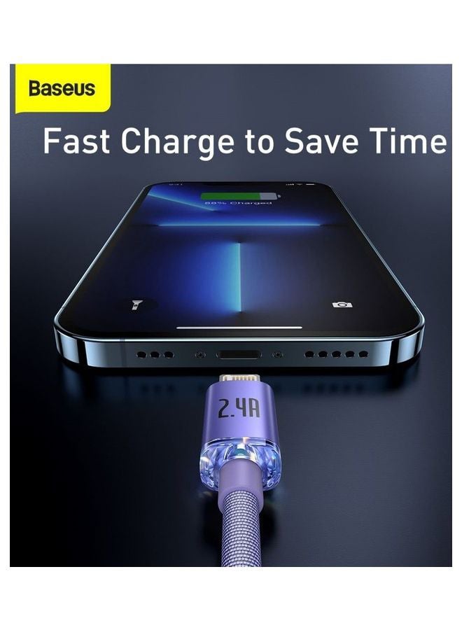 بيسوس كابل كريستال شاين سيريس للشحن ومزامنة البيانات بتصميم مضفر بمنفذ USB-A إلى Lightning (بطول 1.2 م) مناسب لأبل آي باد وآيربودز وآيفون 13/ 12/ 11/ 11 برو/ 11 برو ماكس/ XS/ XS ماكس/ XR/ X/ 8SE/ 8/ 8 بلس والكثير غير ذلك. أرجواني - Image 5