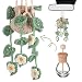 DaisyInner Cute Crochet Plant Car Freshener 12ml Empty Refillable Diffuser Bottle with Plants Hanging Accessories for Ornaments Charms Rearview Mirror Home Office Decor Women GiftsDaisy - Image 2