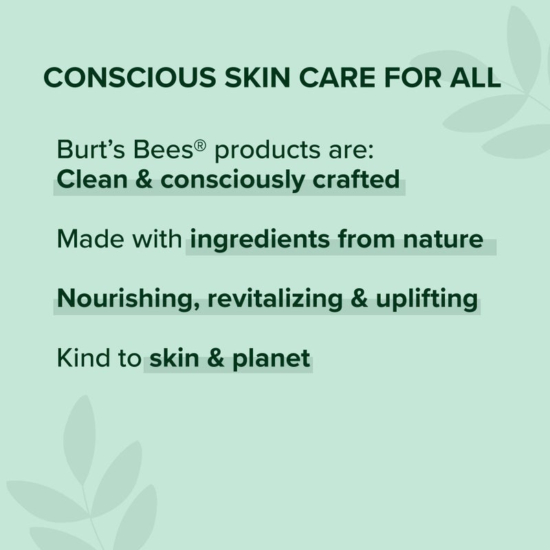 Burt's Bees Medicated Lip Balm, With Eucalyptus Oil and Menthol, Tint-Free, Natural Origin Lip Care, 4 Tubes, 0.15 oz. - Image 3