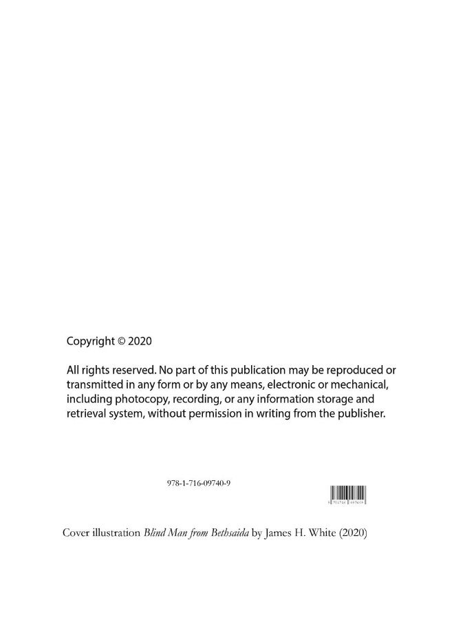 Blind Man from Bethsaida Journal Paperback  - Image 2