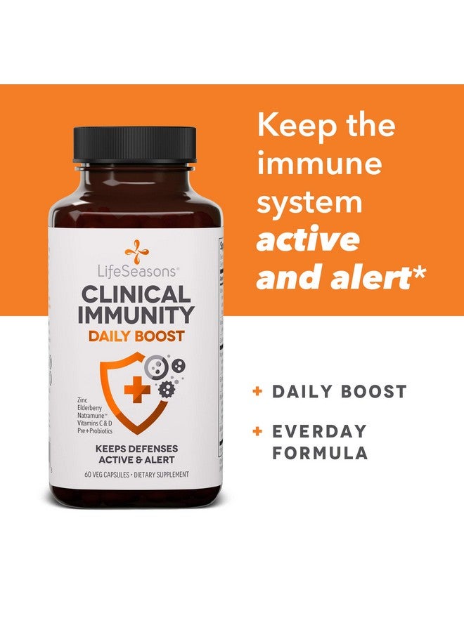 Life Seasons Clinical Immunity Daily Boost Immune System Booster Maintain Active And Alert Immune Cells Everyday Health Formula Black Elderberry & Pre+Probiotics 60 Capsules - Image 5