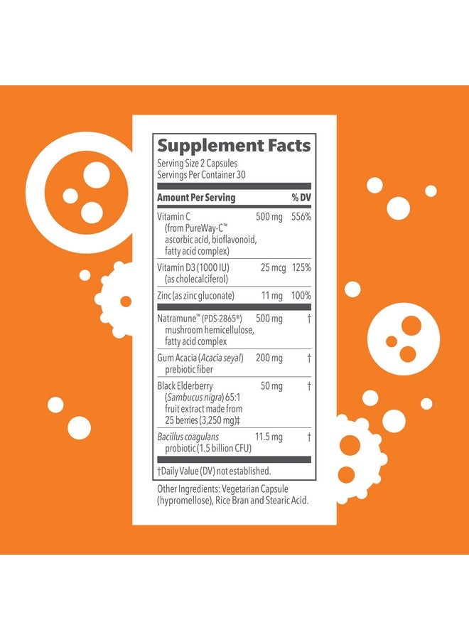 Life Seasons Clinical Immunity Daily Boost Immune System Booster Maintain Active And Alert Immune Cells Everyday Health Formula Black Elderberry & Pre+Probiotics 60 Capsules - Image 3