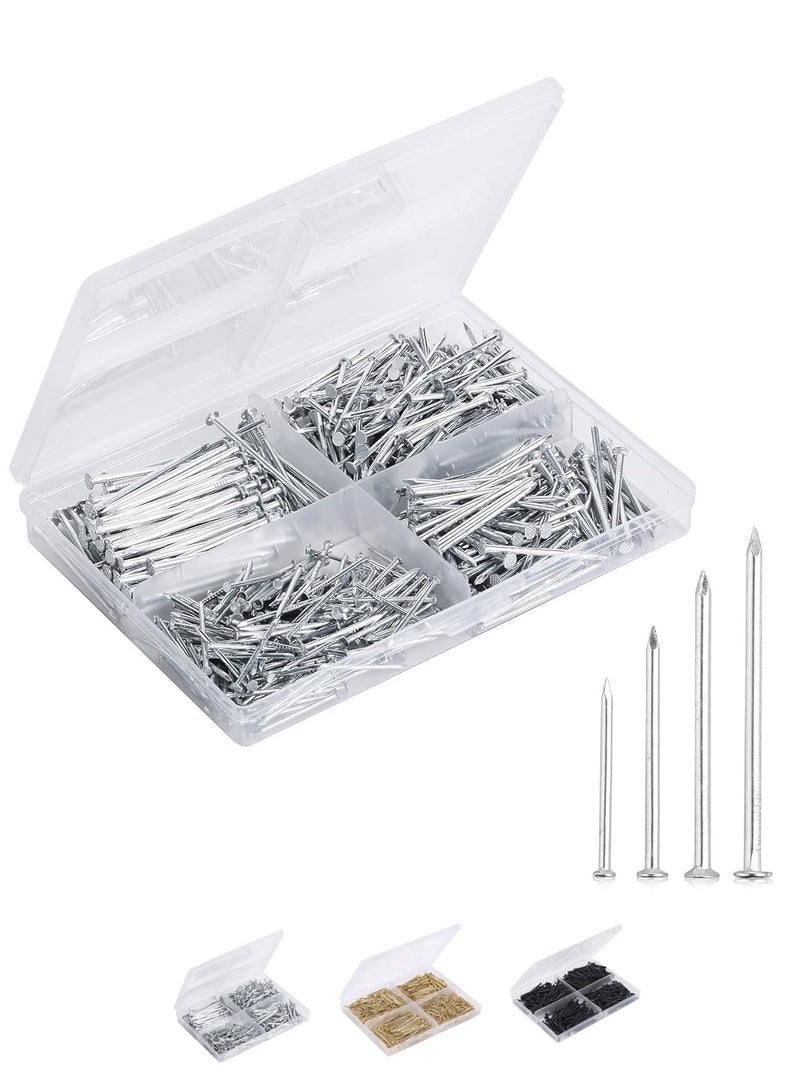 Nail Assortment Kit, 600 Pcs, 4 Sizes, Silver, Small Nails for Hanging Pictures, Finishing Nails, Gold Wall Nails for Hanging, Pin Nails, Hardware Nails, Assorted Nails, Galvanized Nails - Image 1