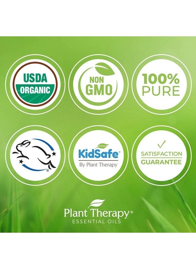 Plant Therapy - Organic Helichrysum Italicum Essential Oil 100% Pure, USDA Certified Organic, Undiluted, Natural Aromatherapy, Therapeutic Grade 2.5 mL (1/12 oz) - Image 1