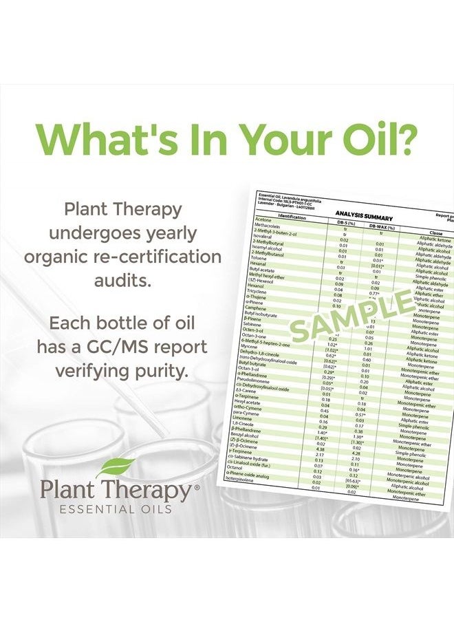 Plant Therapy - Organic Helichrysum Italicum Essential Oil 100% Pure, USDA Certified Organic, Undiluted, Natural Aromatherapy, Therapeutic Grade 2.5 mL (1/12 oz) - Image 1