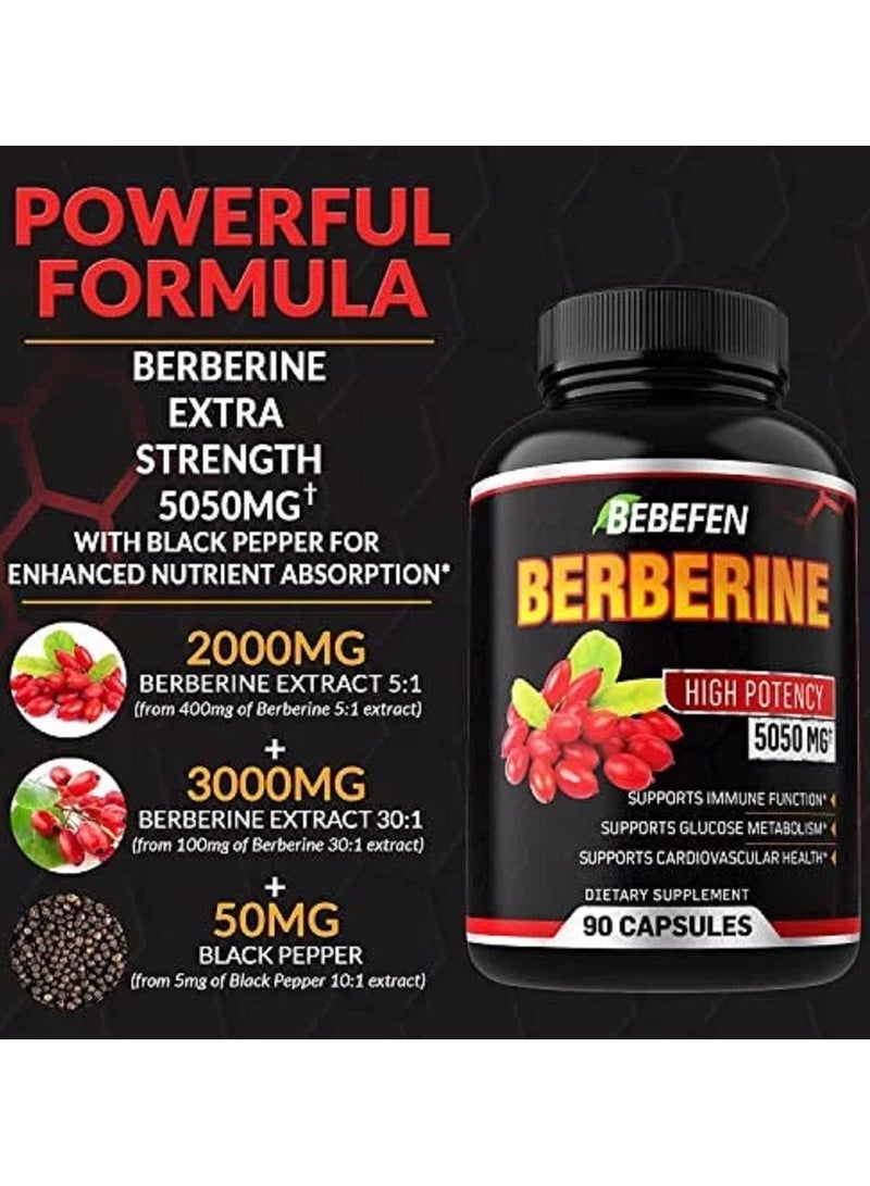 BEBEFEN Berberine High Potency 5050mg، مكمل غذائي 90 كبسولة - كمية تكفي لمدة 3 أشهر. - Image 2