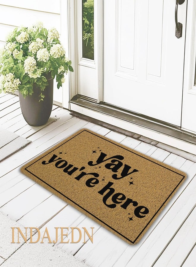 INDAJEDN Yay You're Here Door Mat Doormat, Trendy Black and White Funny Welcome Mats for Front Door Porch Outside Inside Outdoor Indoor Entrance Entryway, 18x30 Inch - Image 2