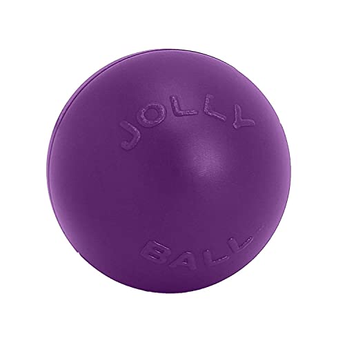Jolly Pets Push-n-Play Ball Dog Toy, 10 Inches/Large, Blue - Image 2