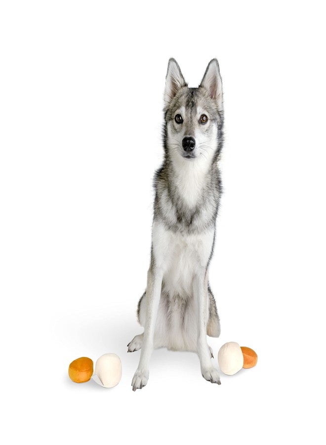 Midlee Matzo Ball Soup Plush Dog Toy - Image 2