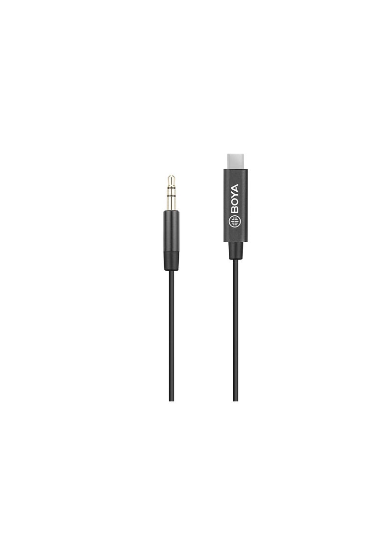 BOYA BY-K2 3.5mm TRS Male to USB Type-C Adapter Cable - Black - Image 3