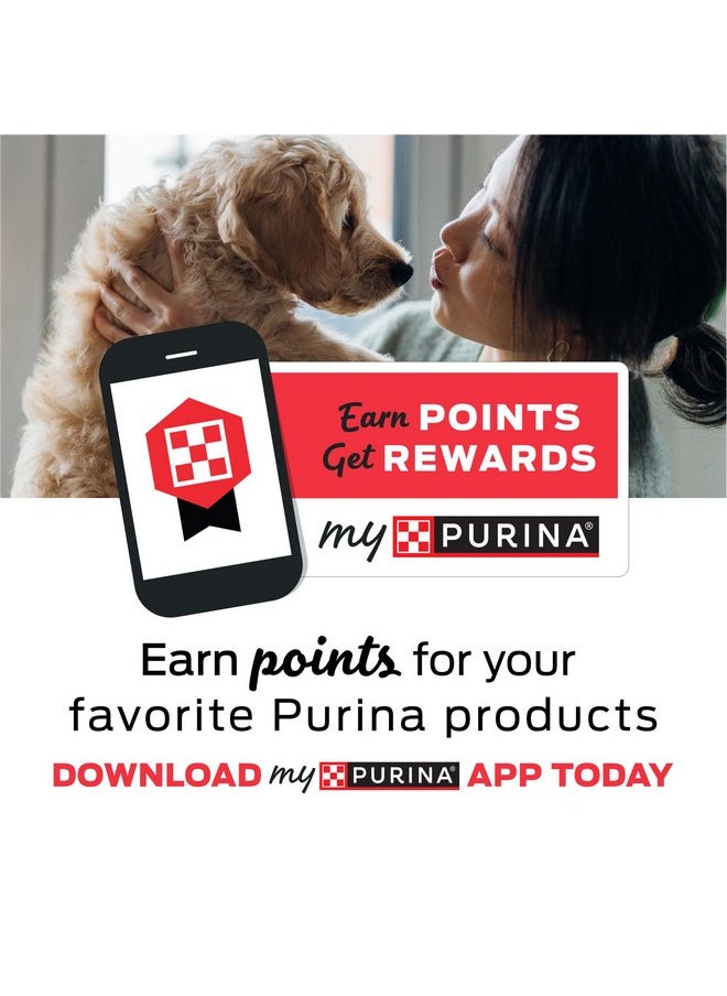 Purina Cat Chow Purina Cat Chow Gentle Dry Cat Food, Sensitive Stomach + Skin - (Pack of 4) 3.15 lb. Bags  - Image 3