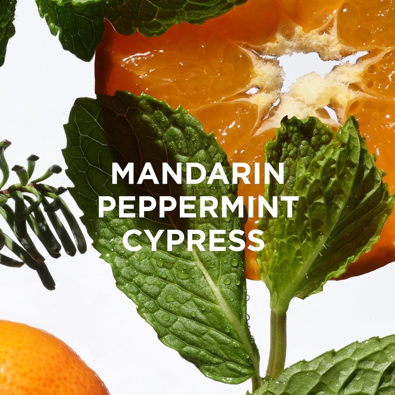 By Rosie Jane Chill Body Wash Creamy Hydrating Body Wash Made with Peppermint Mandarin Cypress Supports Skin Elasticity Builds Collagen Vegan NonToxic 350ml - Image 2