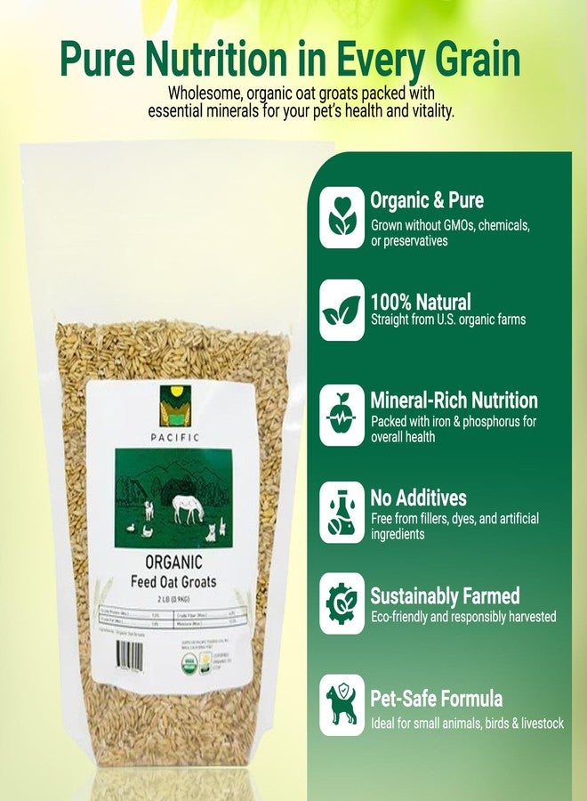 PACIFIC Organic Petfood Organic Feed Oat Groats - Oat Groats for Birds | Rich with Fiber & Minerals | USDA and CCOF Certified | Packed in USA (5 Pound (Pack of 1)) - Image 3