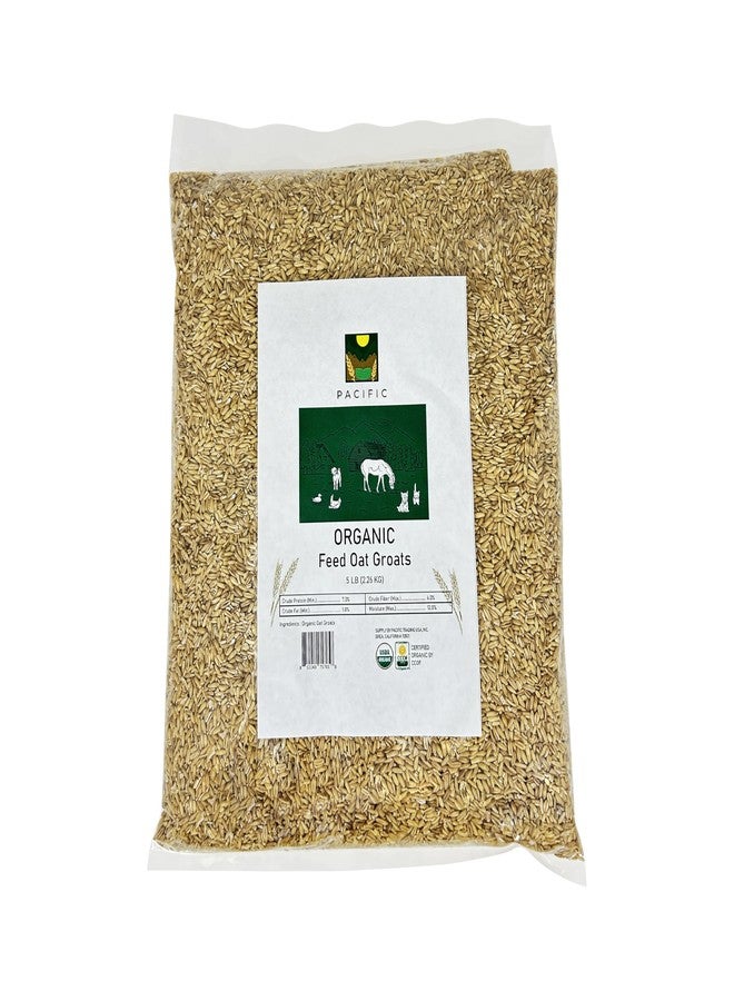 PACIFIC Organic Petfood Organic Feed Oat Groats - Oat Groats for Birds | Rich with Fiber & Minerals | USDA and CCOF Certified | Packed in USA (5 Pound (Pack of 1)) - Image 1
