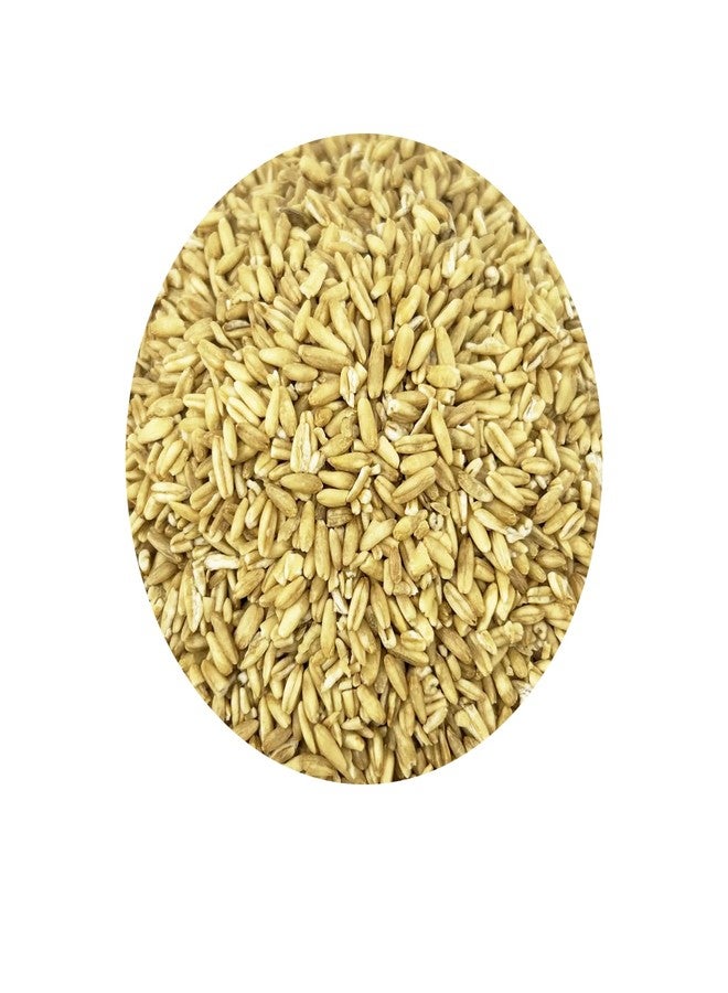 PACIFIC Organic Petfood Organic Feed Oat Groats - Oat Groats for Birds | Rich with Fiber & Minerals | USDA and CCOF Certified | Packed in USA (5 Pound (Pack of 1)) - Image 2