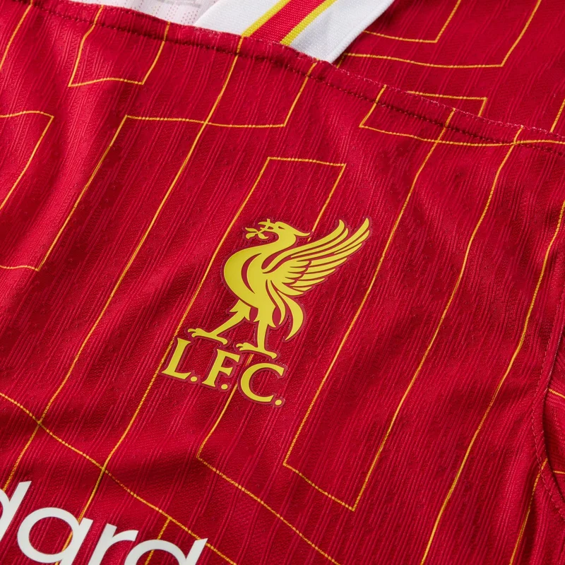 Nike Red Men's Liverpool F.C. Dri-FIT ADV Match Home Football Jersey for Men | Best Price UAE