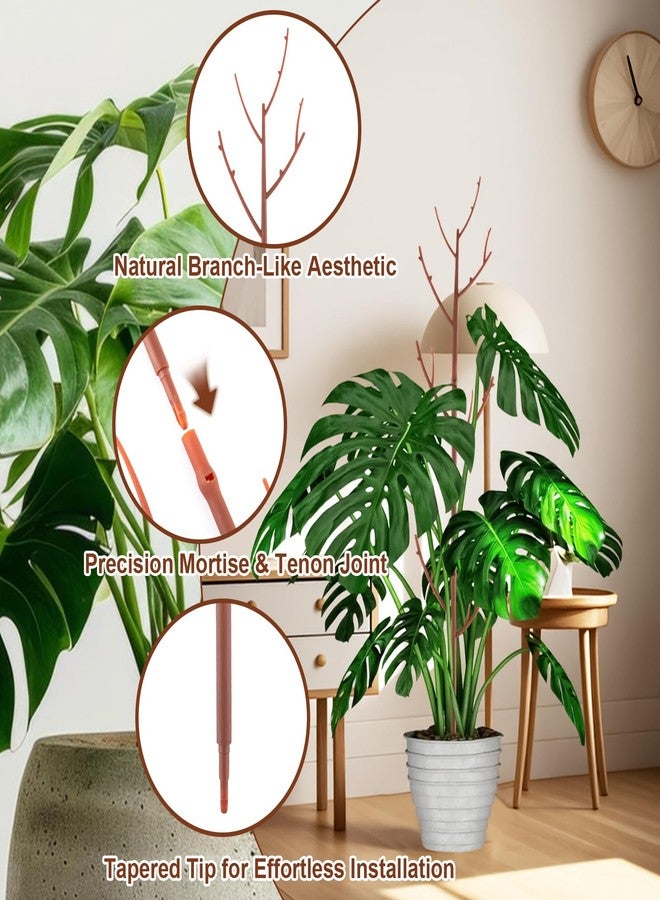 PERSZEN 6 Pack Stackable Monstera Plant Support, Plant Stakes for Indoor and Outdoor Plants Use, Garden Stakes for Climbing and Potted Plants, Pothos, Philodendron, Brown - Image 4