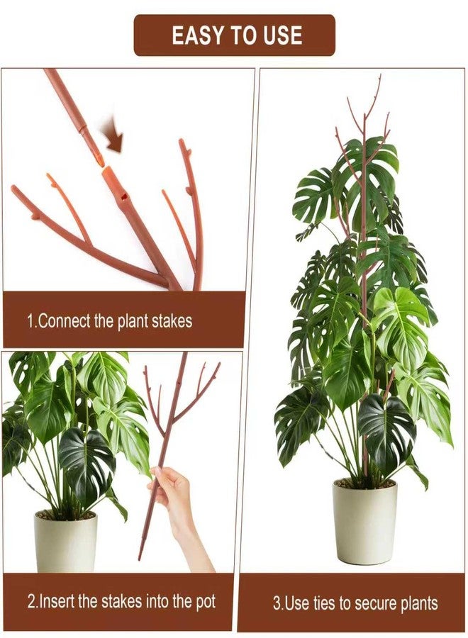 PERSZEN 6 Pack Stackable Monstera Plant Support, Plant Stakes for Indoor and Outdoor Plants Use, Garden Stakes for Climbing and Potted Plants, Pothos, Philodendron, Brown - Image 5