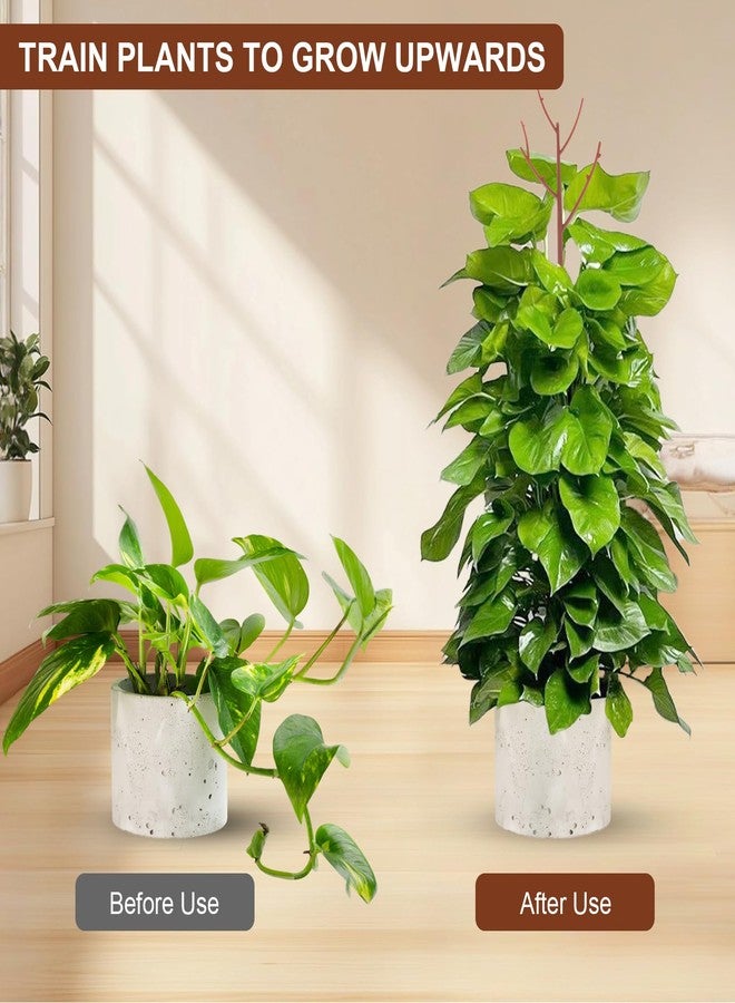 PERSZEN 6 Pack Stackable Monstera Plant Support, Plant Stakes for Indoor and Outdoor Plants Use, Garden Stakes for Climbing and Potted Plants, Pothos, Philodendron, Brown - Image 3