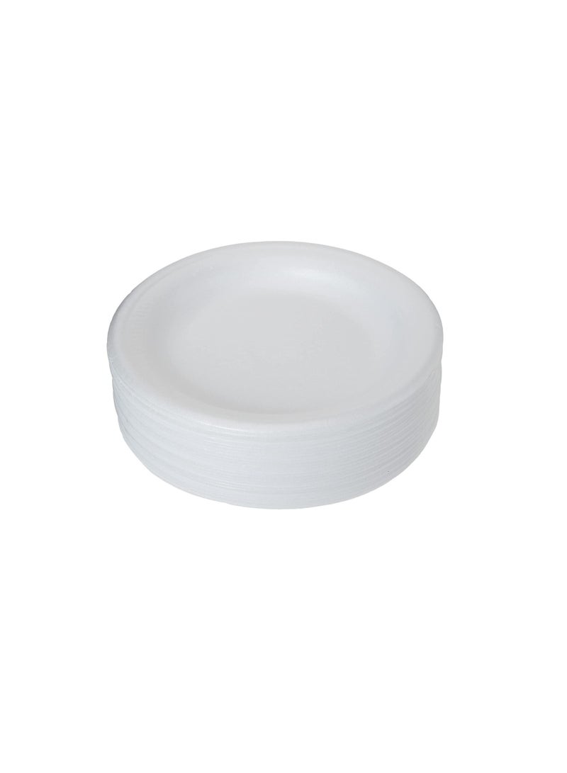 Disposable Best Quality Foam Plats , 10 inch size, 100 pcs - Image 1