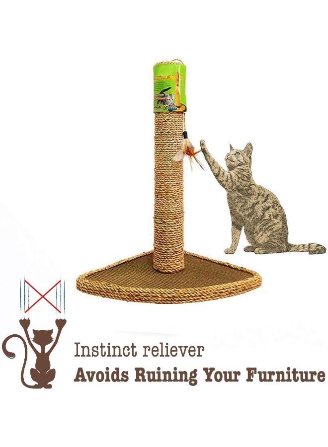 gluckluz Gluckluz Cat Tree Tower House Condo for Adult Cat Scratching Post Pet Climber Scratcher with Hanging Toy for Kitten Indoor Play Sleeping Activity  - Image 4