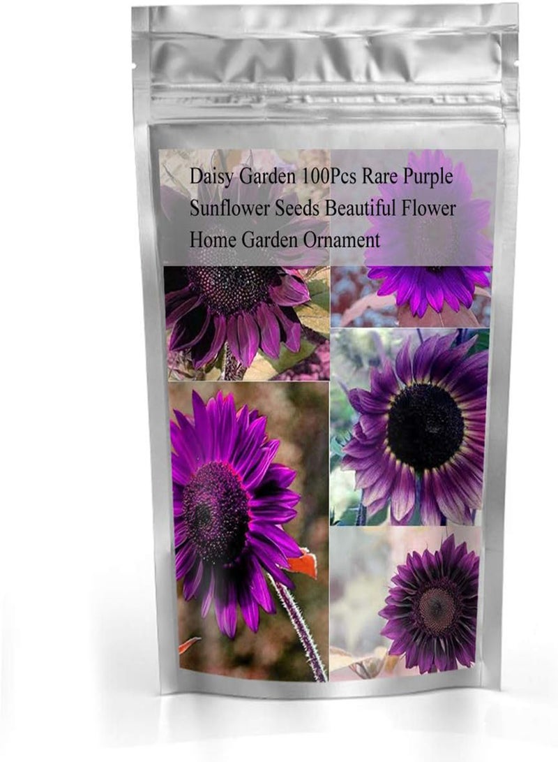 جي جوت 100 قطعة من بذور عباد الشمس الأرجوانية النادرة والغريبة لتزيين حديقة المنزل - Image 2