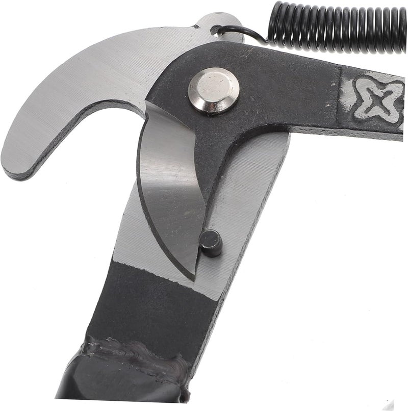 Healifty Fruit Branch Shear with Labor Saving Roller for Orchard Gardening Pruning and Tree Branch Trimming Practical Flexible Pruner for Garden Modeling and Heavy Duty Cutting - Image 3