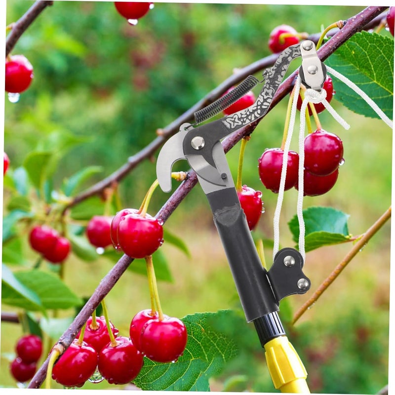 Healifty Fruit Branch Shear with Labor Saving Roller for Orchard Gardening Pruning and Tree Branch Trimming Practical Flexible Pruner for Garden Modeling and Heavy Duty Cutting - Image 4
