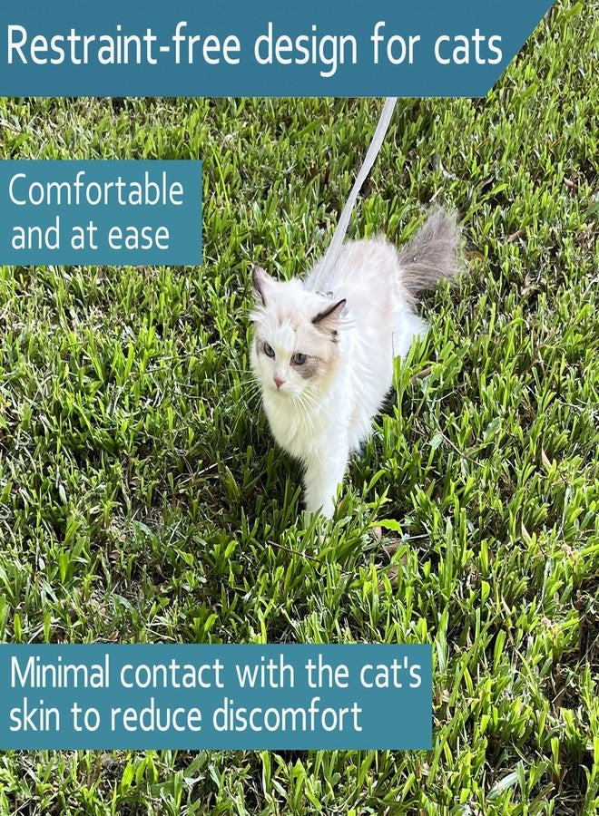 Ddzmz Cat Leash and Harness Set, Cat Harness Escape Proof Ddzmz Soft Mesh Breathable Adjustable Cat Vest Pet Harnesses for Walking Escape Proof Grey Color L Size for Pet Cat Kitten Puppy Rabbit Ferret(1Pack - Image 4